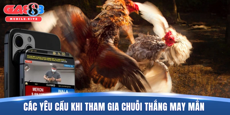 Các yêu cầu khi tham gia chuỗi thắng may mắn