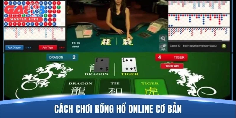 Cách chơi rồng hổ online cơ bản