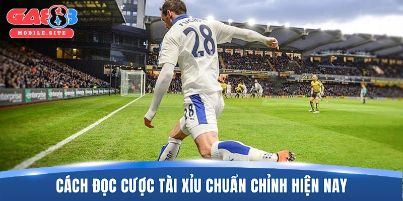 Kèo Tài Xỉu - Thể Loại Ăn Khách Số 1 Thị Trường Hiện Nay 2 Cách đọc cược tài xỉu chuẩn chỉnh hiện nay