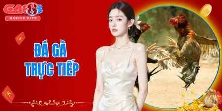 Đá gà trực tiếp