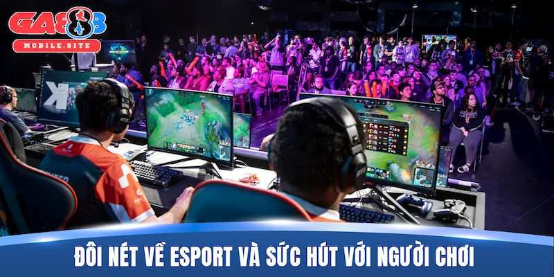 Esport GA888 1 Đôi nét về Esport và sức hút đối với cộng đồng người chơi