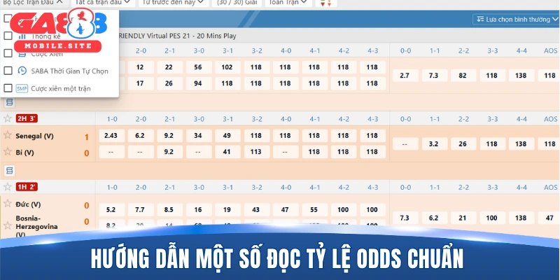 Hướng dẫn một số đọc tỷ lệ odds chuẩn 