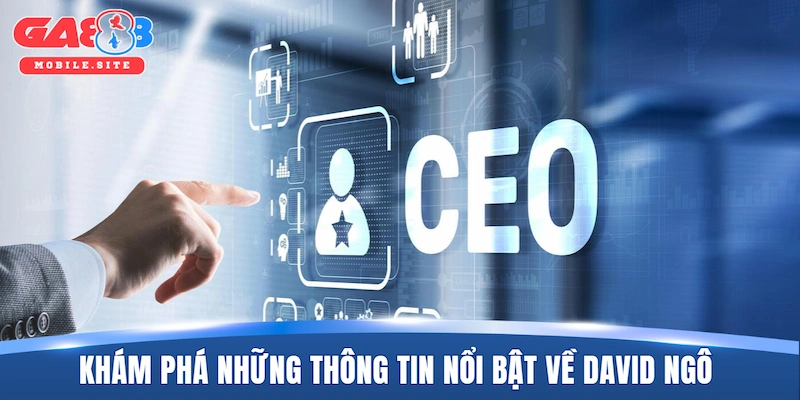 Khám phá những thông tin nổi bật về David Ngô