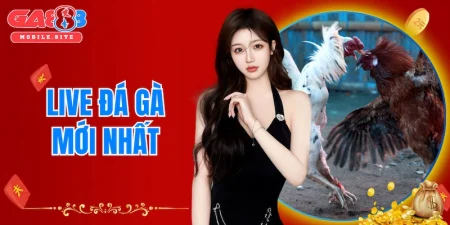 live đá gà mới nhất