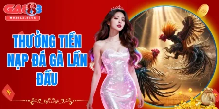 Thưởng tiền nạp đá gà lần đầu