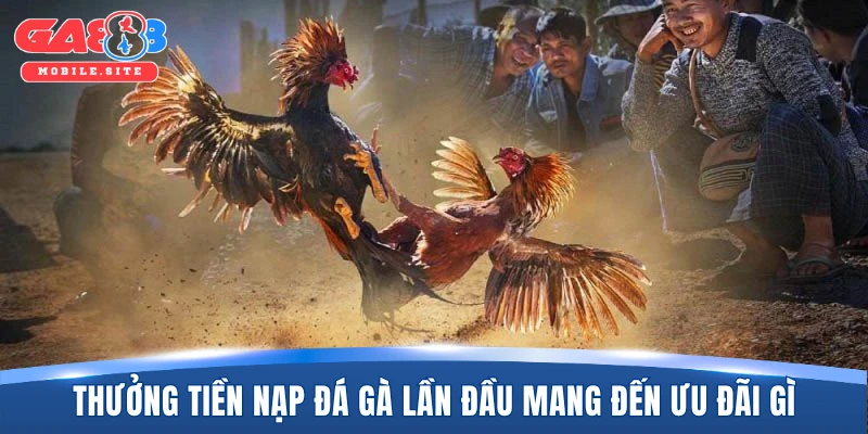 Thưởng tiền nạp đá gà lần đầu mang đến ưu đãi gì