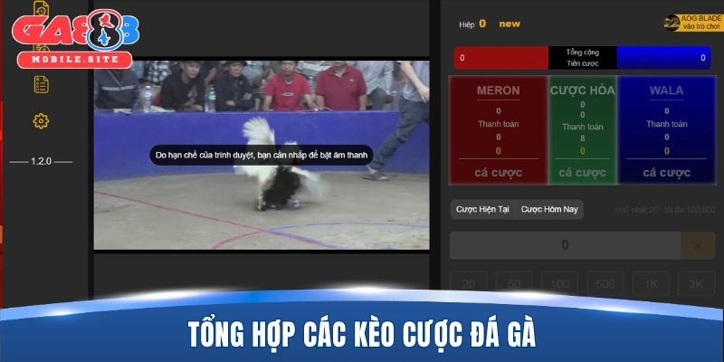 Tổng hợp các kèo cược đá gà