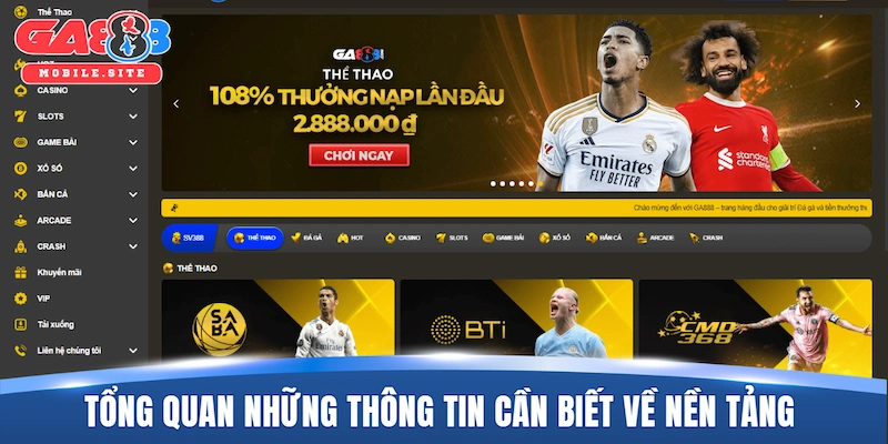 Tổng quan những thông tin cần biết về nền tảng